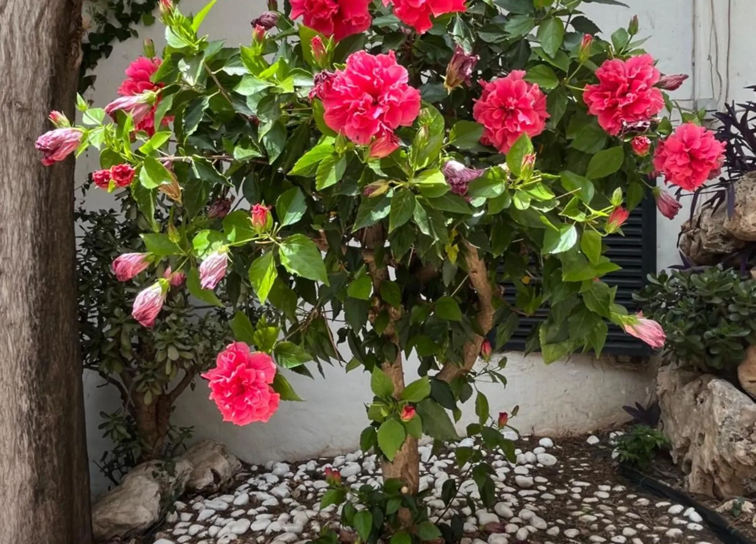 Ideal 2 Bed 2 Bath - Pueblo Evita Benalmadena